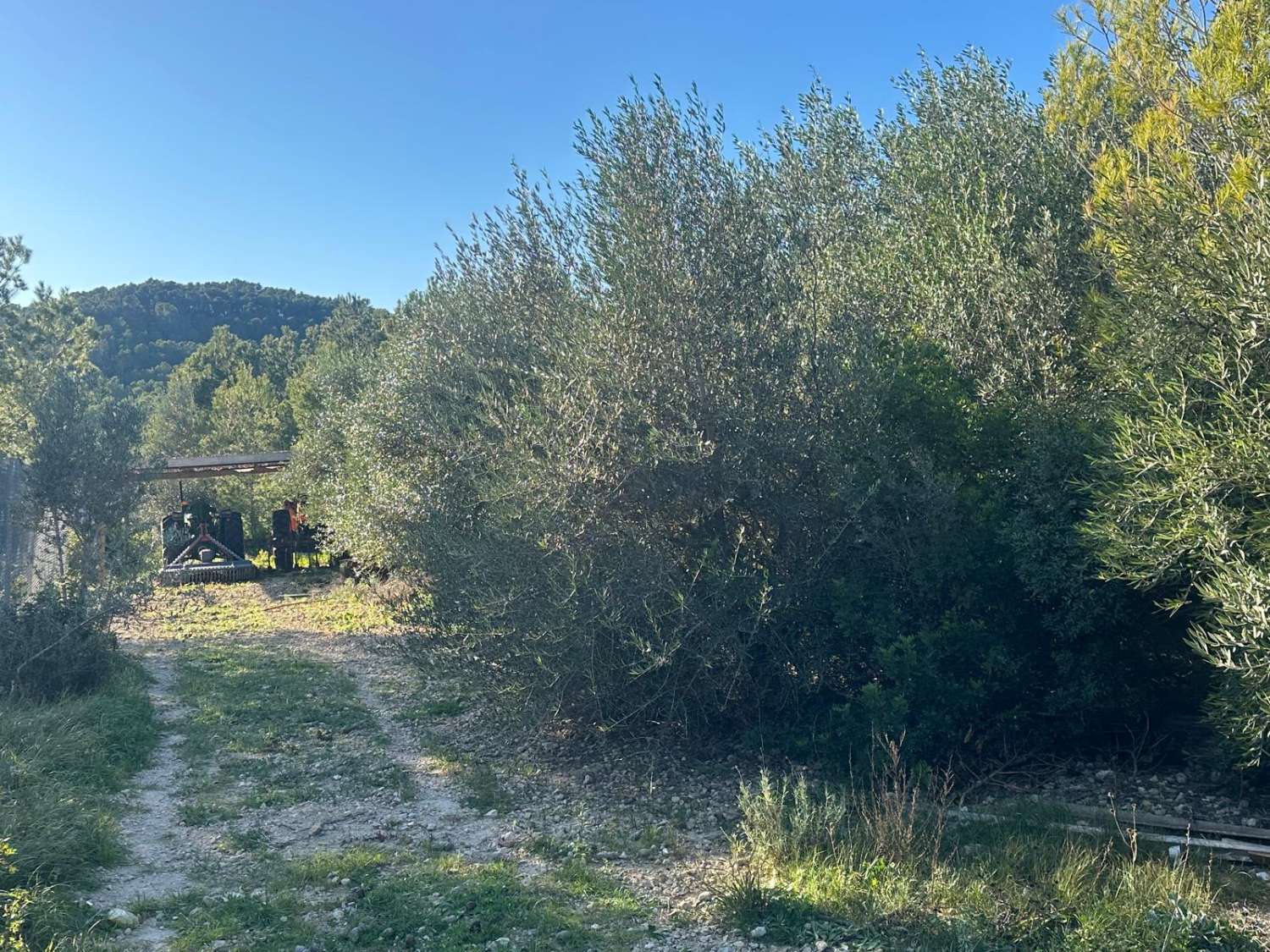 EXCEPTIONAL! For nature and animal lovers, Country house with 20 hectares of land