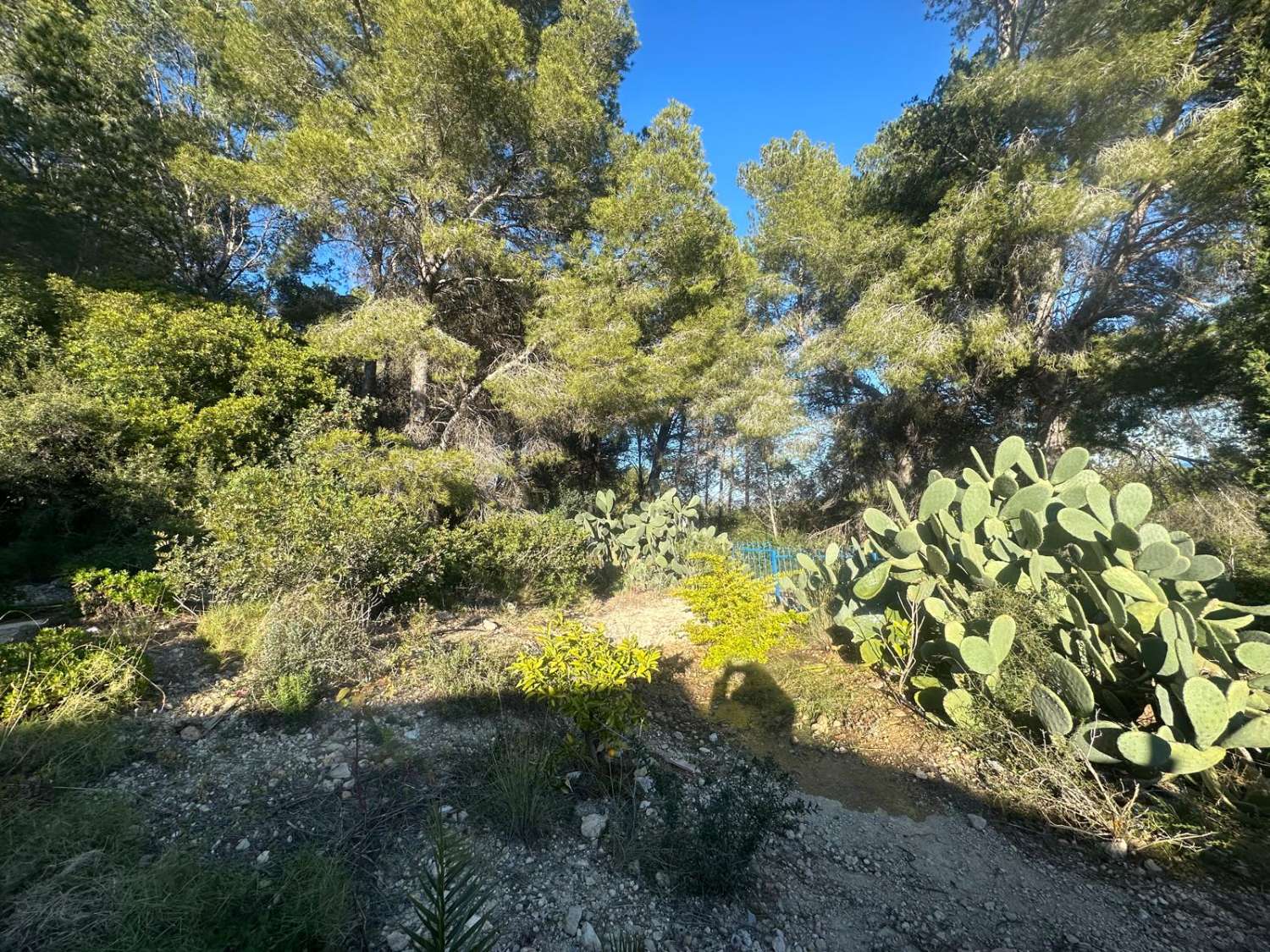 EXCEPTIONAL! For nature and animal lovers, Country house with 20 hectares of land