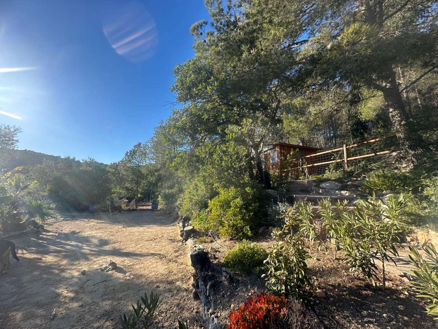 EXCEPTIONAL! For nature and animal lovers, Country house with 20 hectares of land