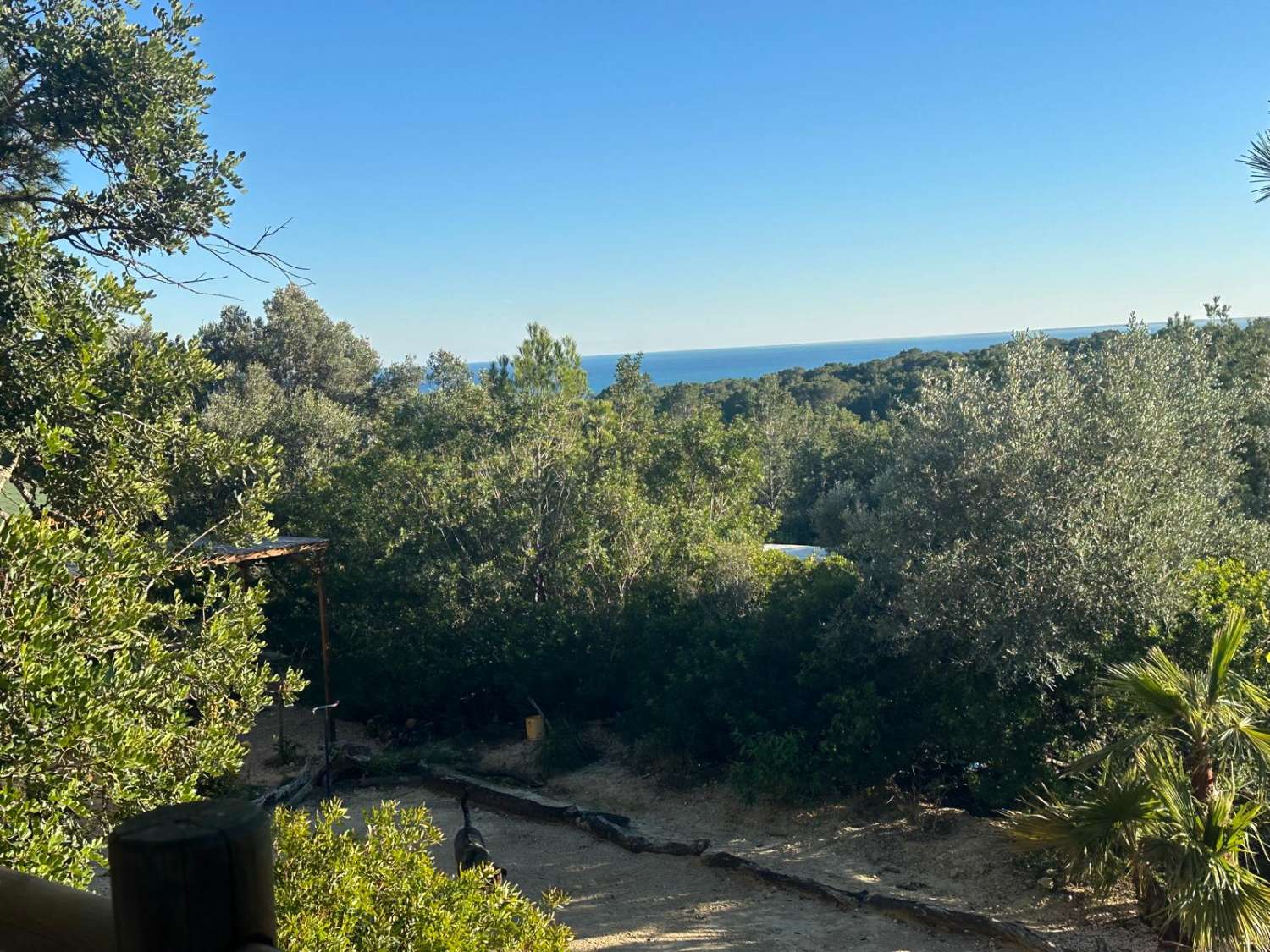 EXCEPTIONAL! For nature and animal lovers, Country house with 20 hectares of land