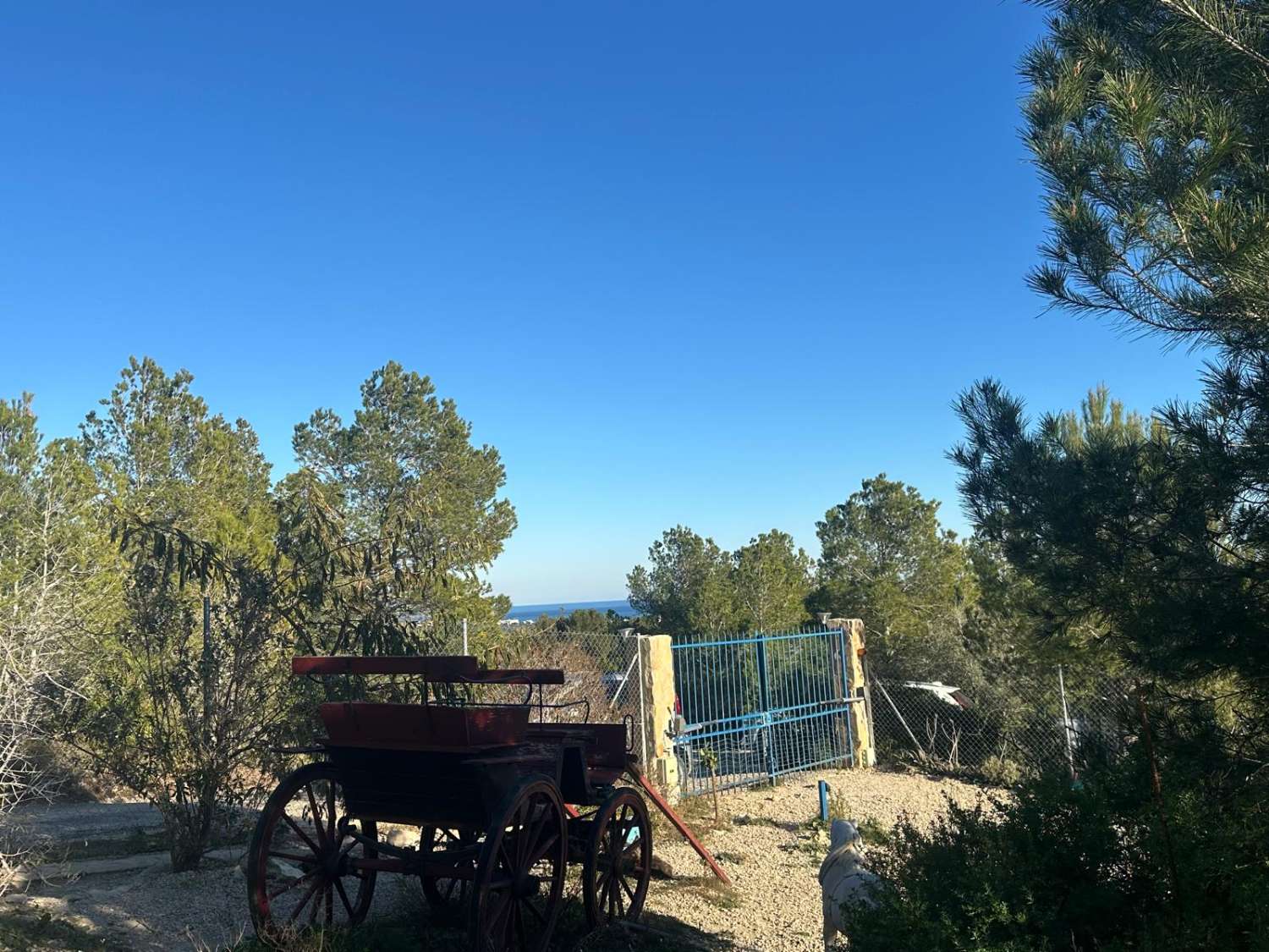 EXCEPTIONAL! For nature and animal lovers, Country house with 20 hectares of land