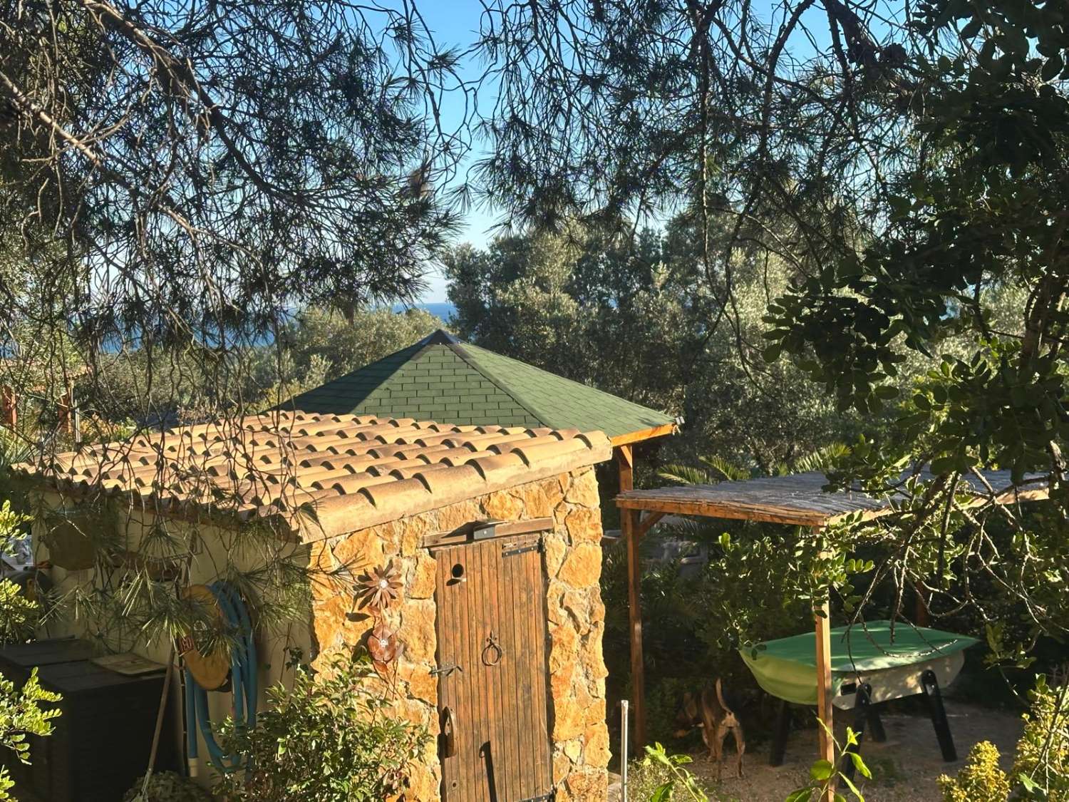 EXCEPTIONAL! For nature and animal lovers, Country house with 20 hectares of land