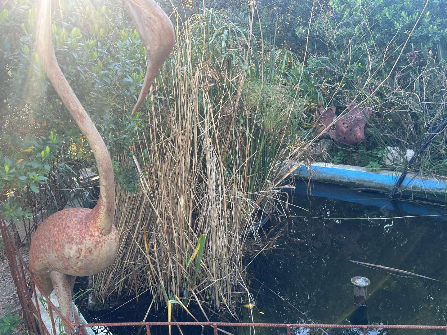 EXCEPTIONAL! For nature and animal lovers, Country house with 20 hectares of land