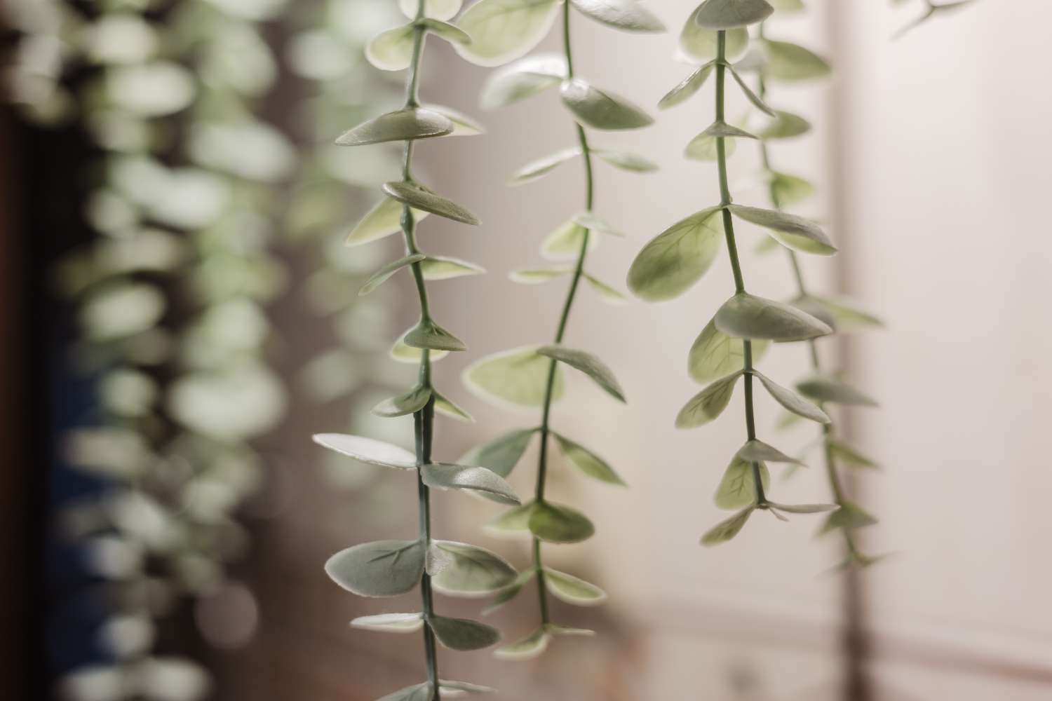 Magnifique maison de ville de 3 chambres au centre-ville de Miami