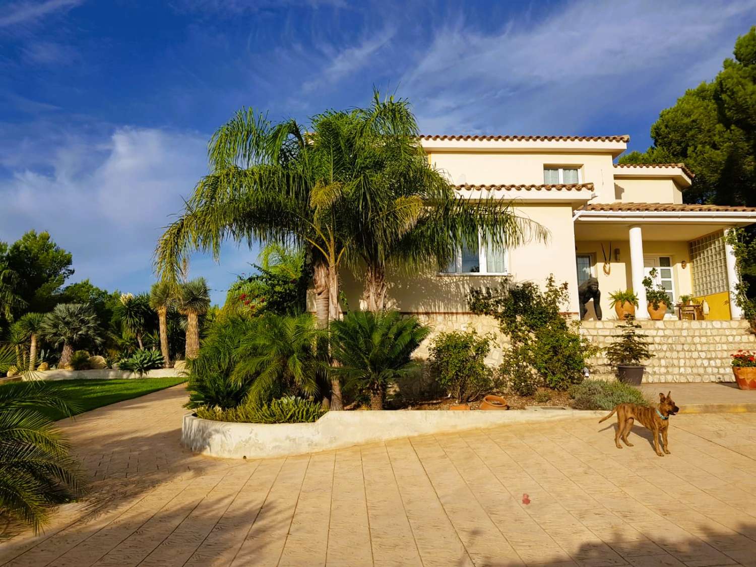 Large villa with private pool in St Jordi d'Alfama