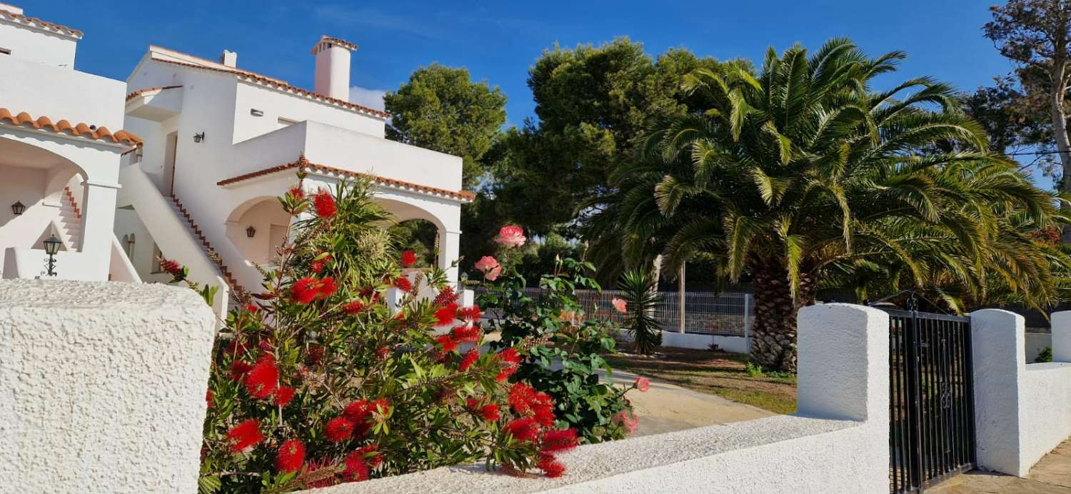 18 Laguna 1 - Hermoso apartamento con vistas al mar!