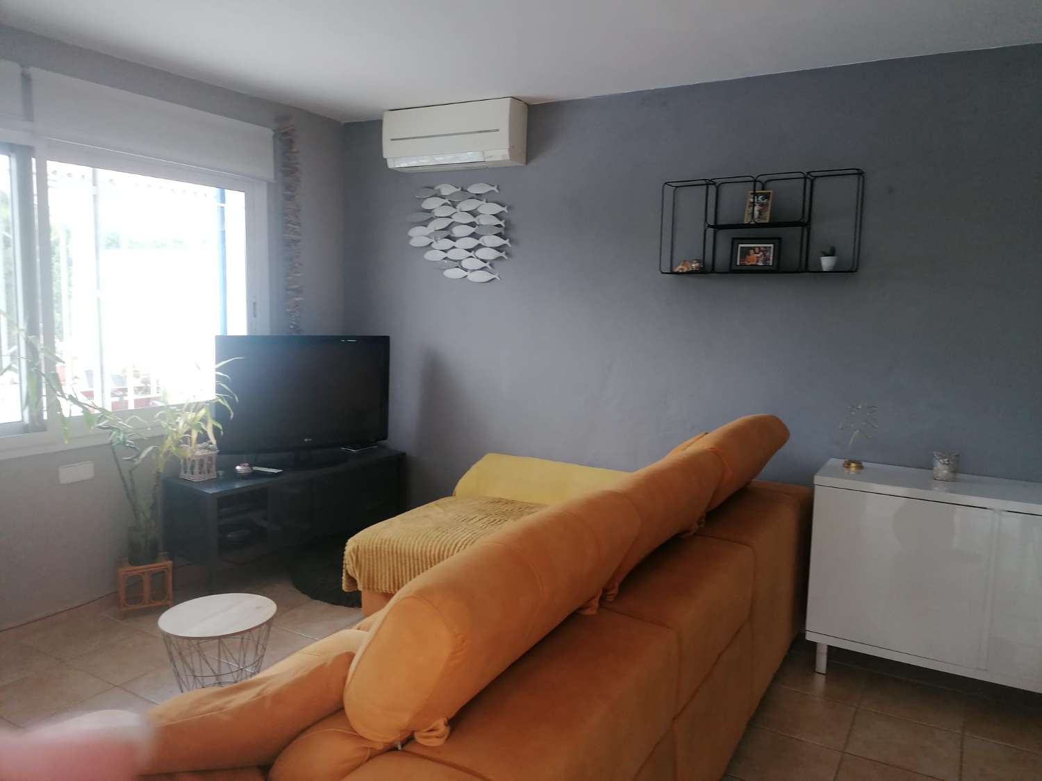 House with independent studio and swimming pool, 600m from the sea