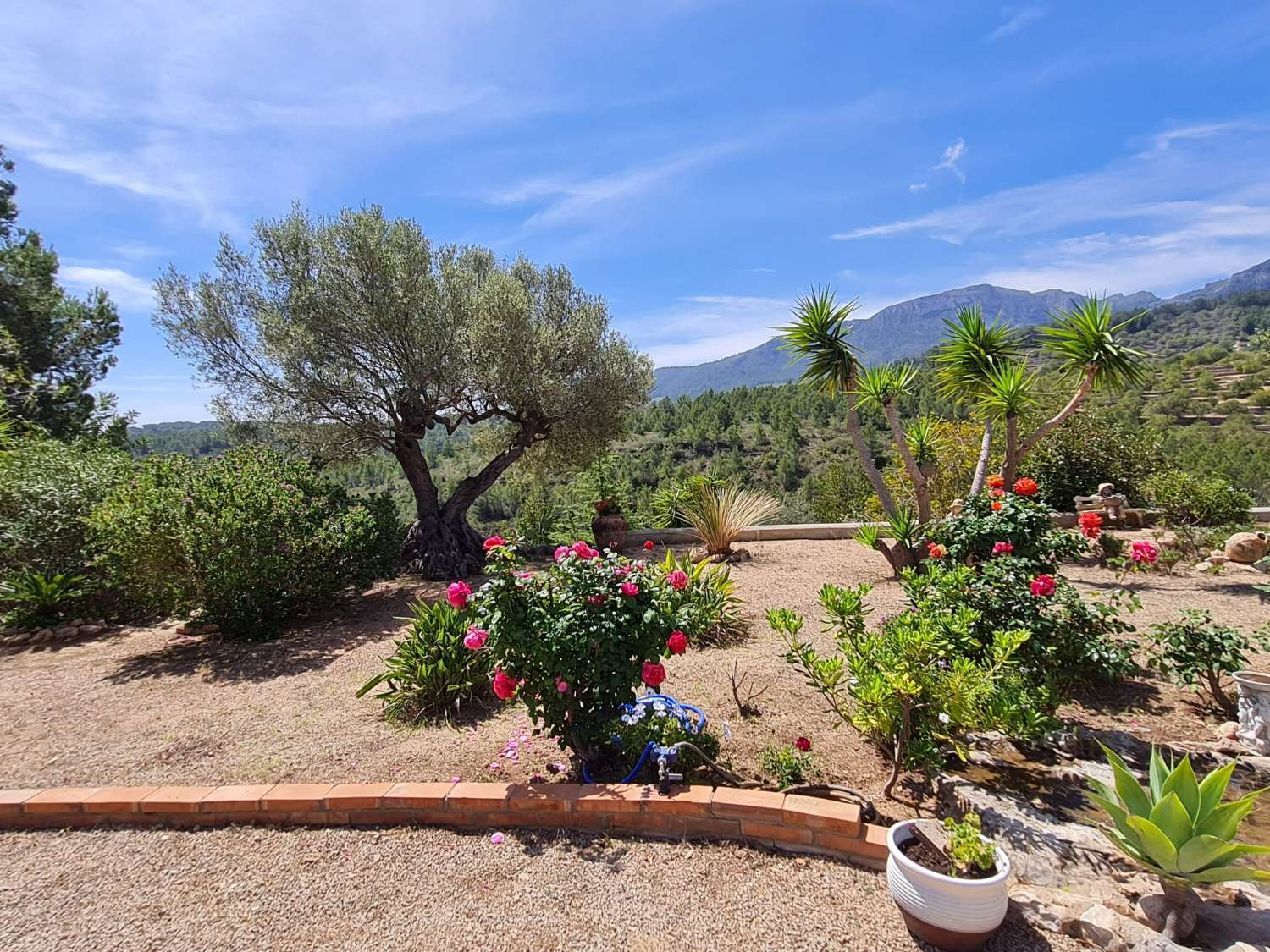 Rare, belle maison avec vue imprenable sur la montagne