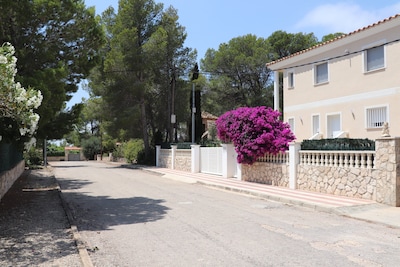 Large property with 2 independent houses and swimming pool