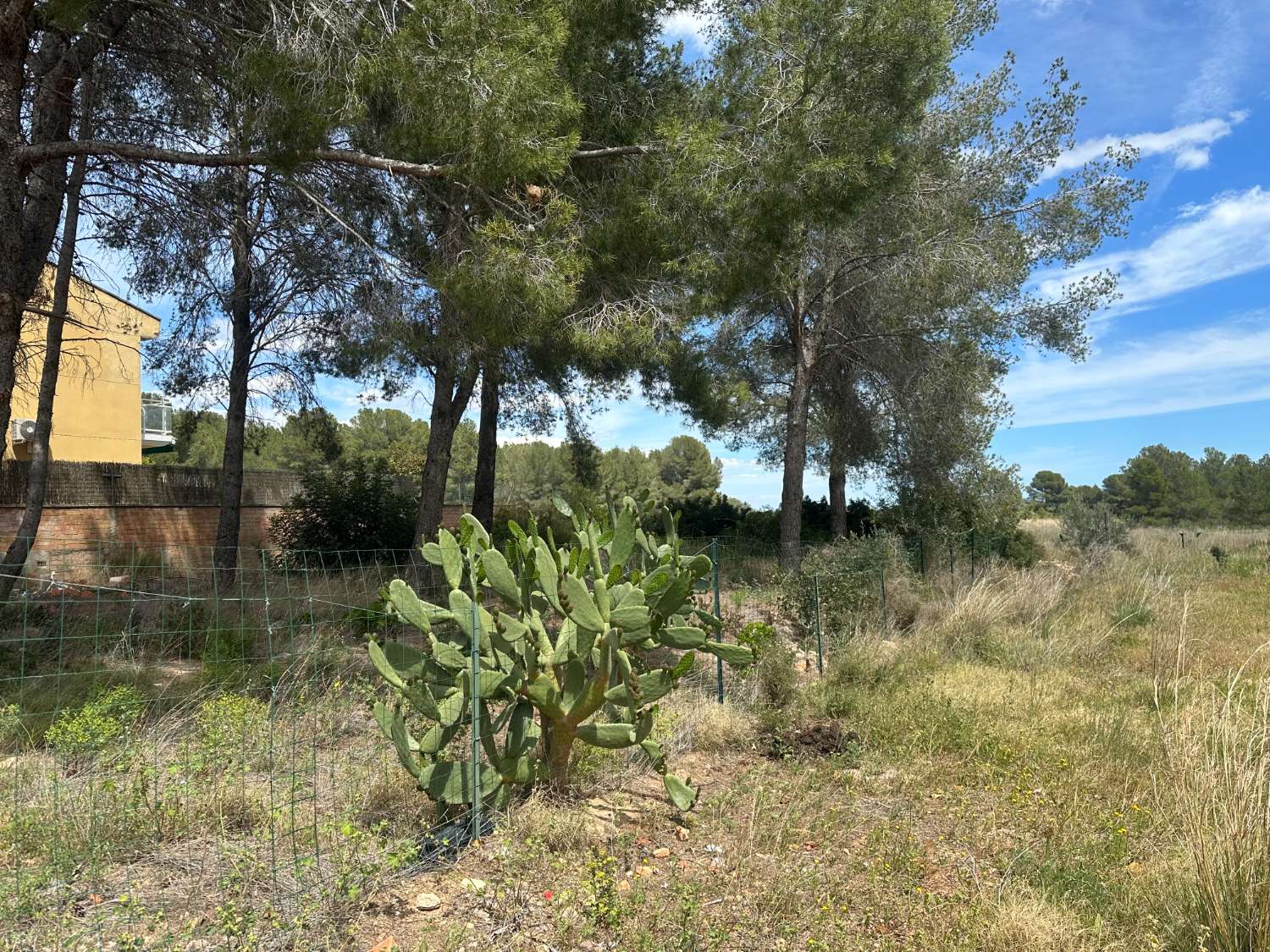 Terreny en vente a Mont-Roig Badia