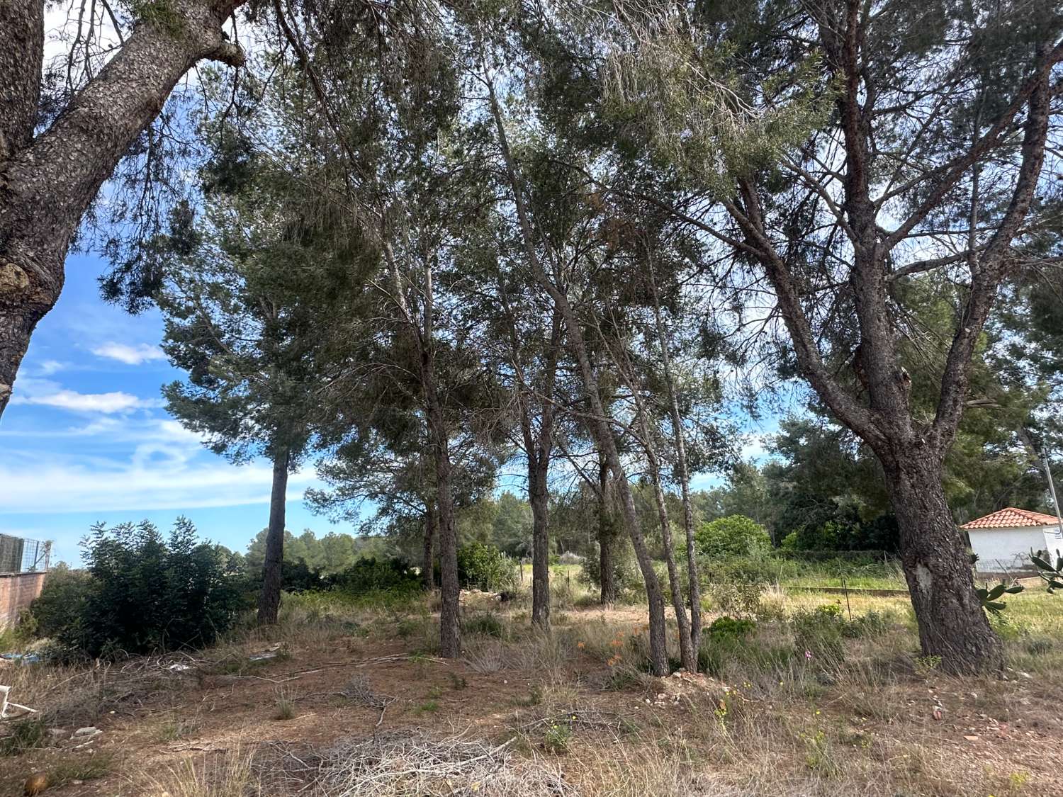 Terreno en vente en Mont-Roig Bahía