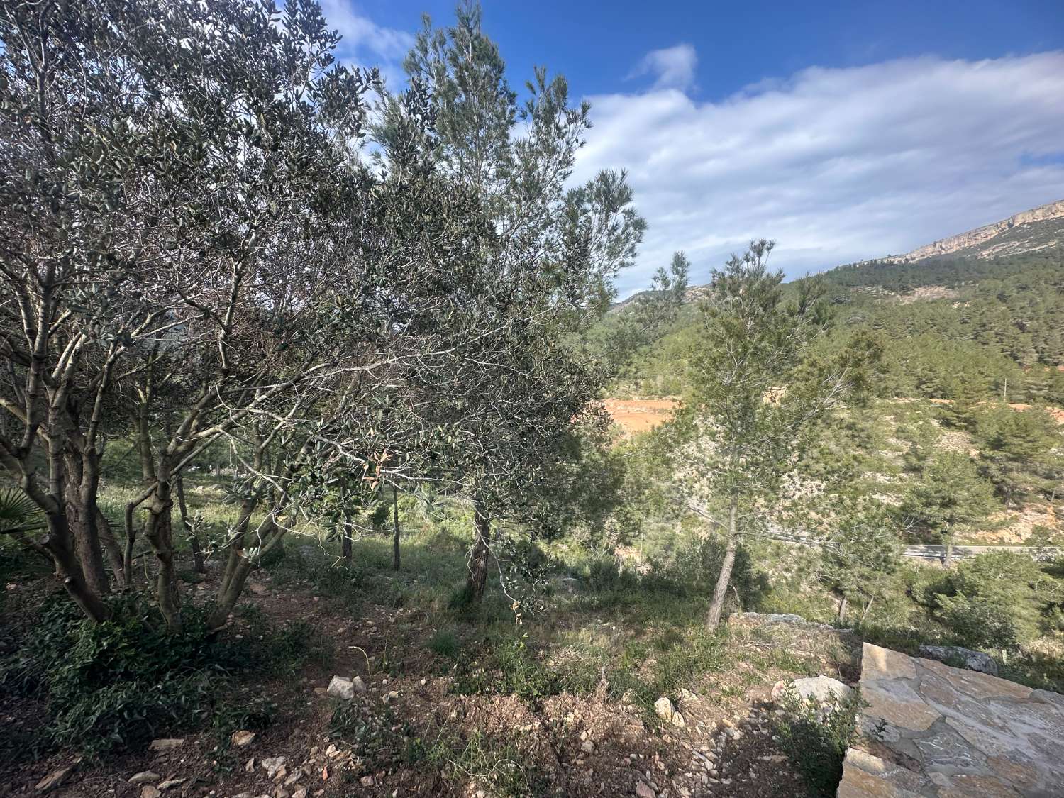 ¡Gran propiedad que consta de dos casas independientes y piscina privada en medio de la naturaleza!
