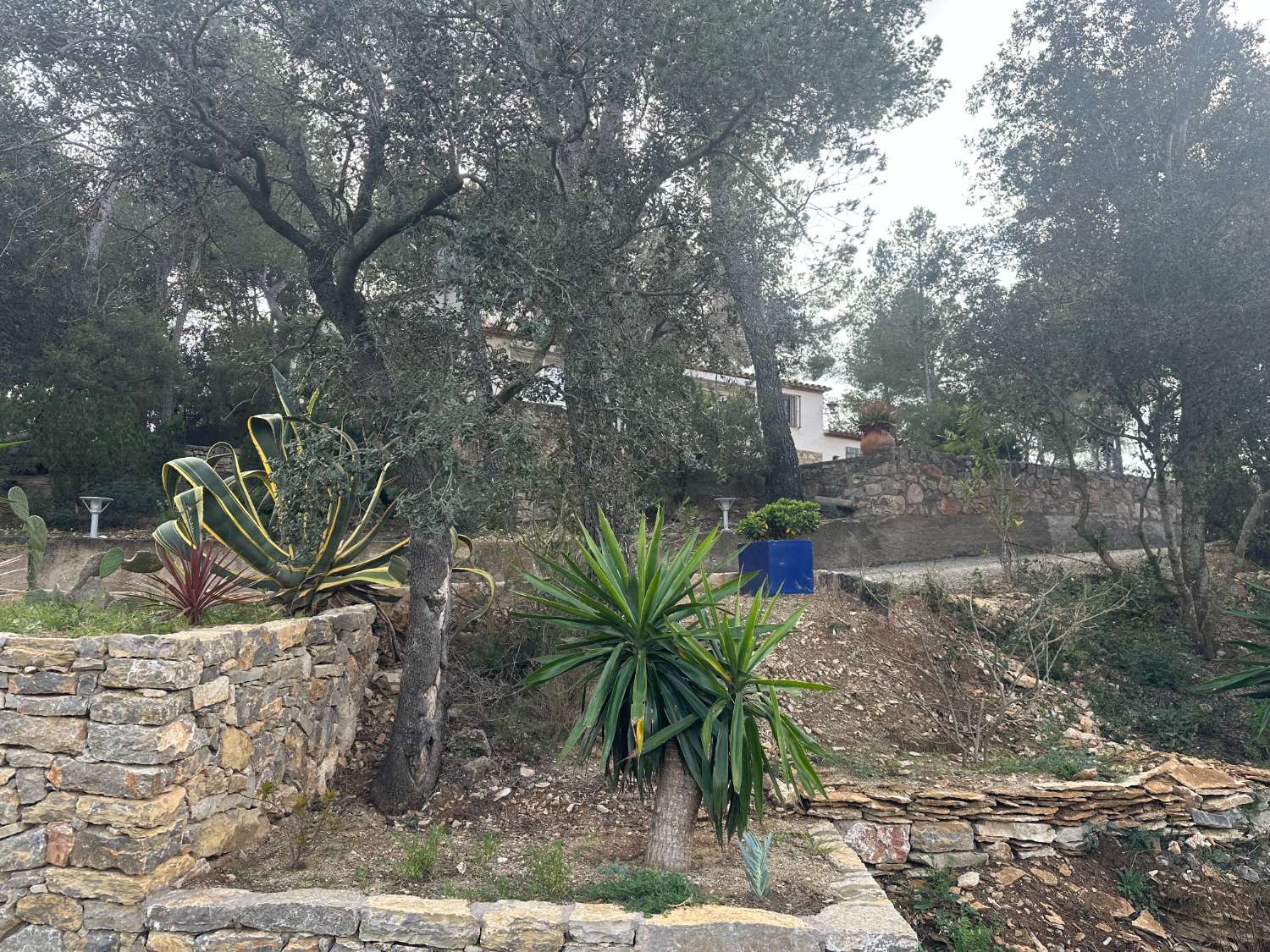 ¡Gran propiedad que consta de dos casas independientes y piscina privada en medio de la naturaleza!
