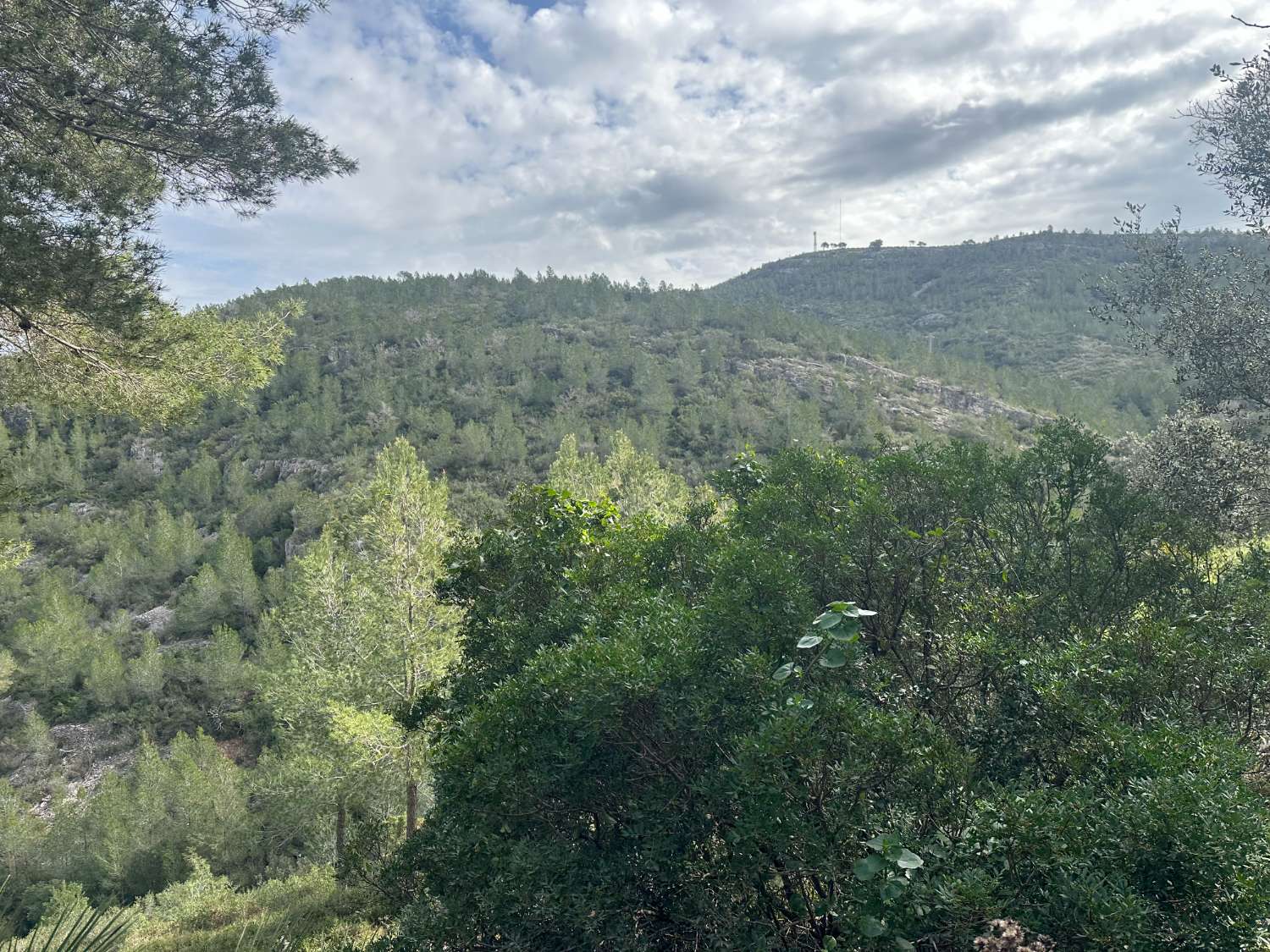 ¡Gran propiedad que consta de dos casas independientes y piscina privada en medio de la naturaleza!