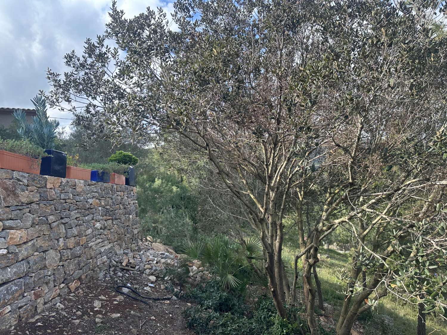 ¡Gran propiedad que consta de dos casas independientes y piscina privada en medio de la naturaleza!