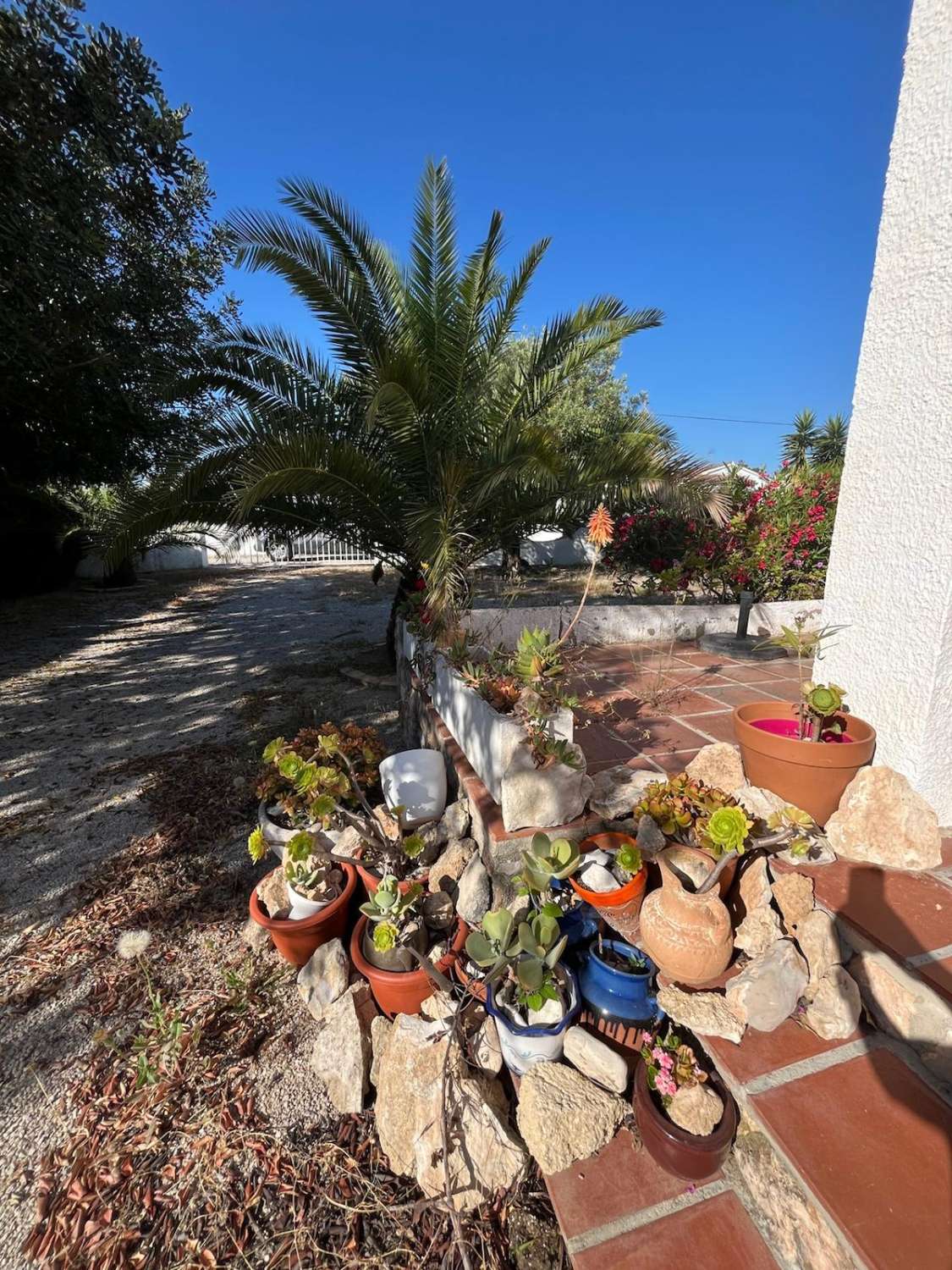 Casa individual con piscina en una sola planta