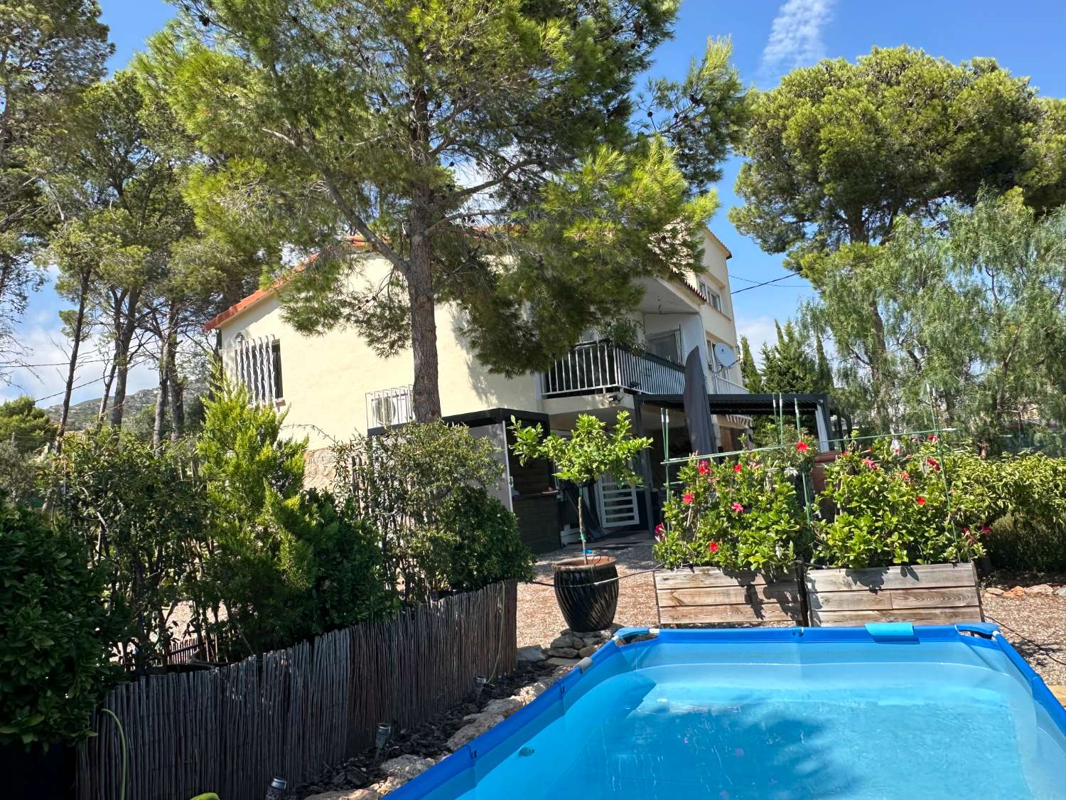 Maison indépendante sur un beau terrain arboré