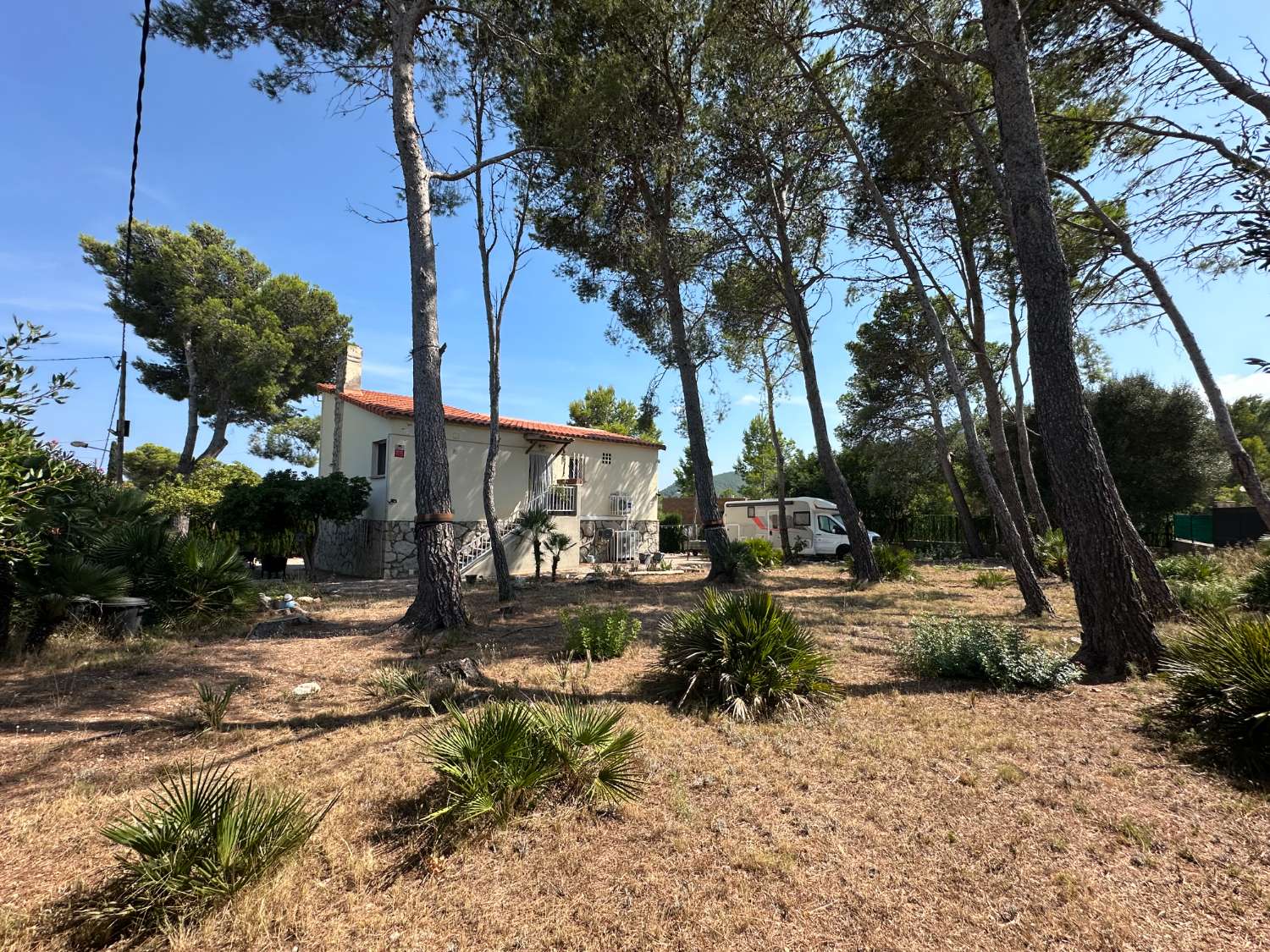 Maison indépendante sur un beau terrain arboré