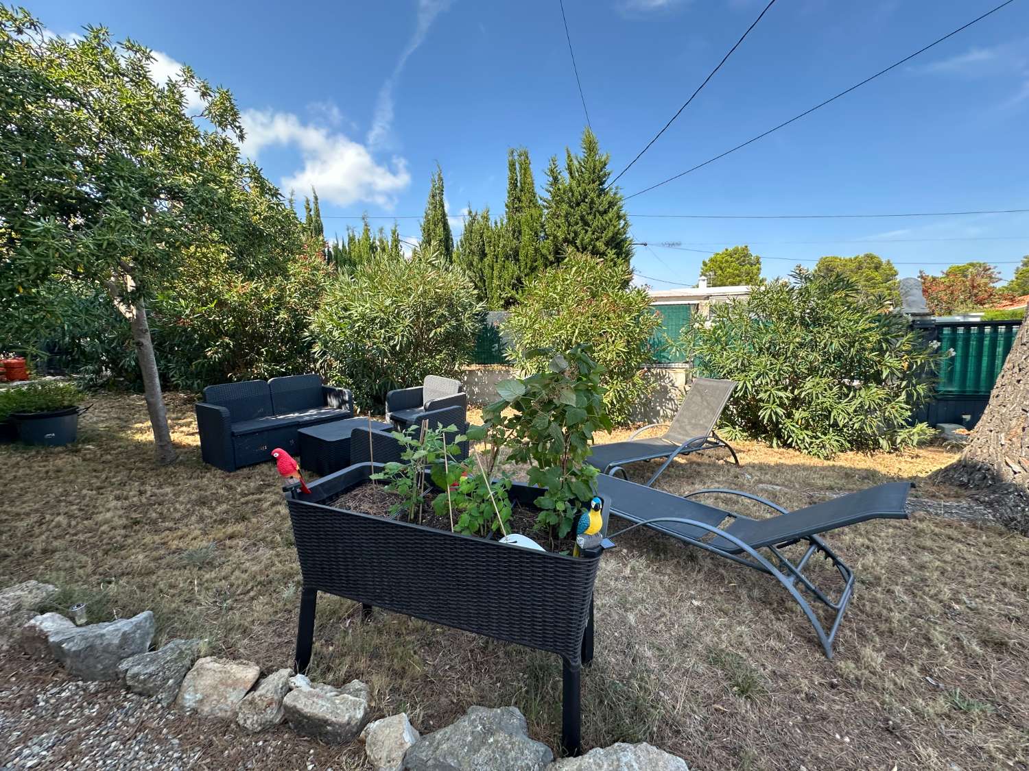 Maison indépendante sur un beau terrain arboré