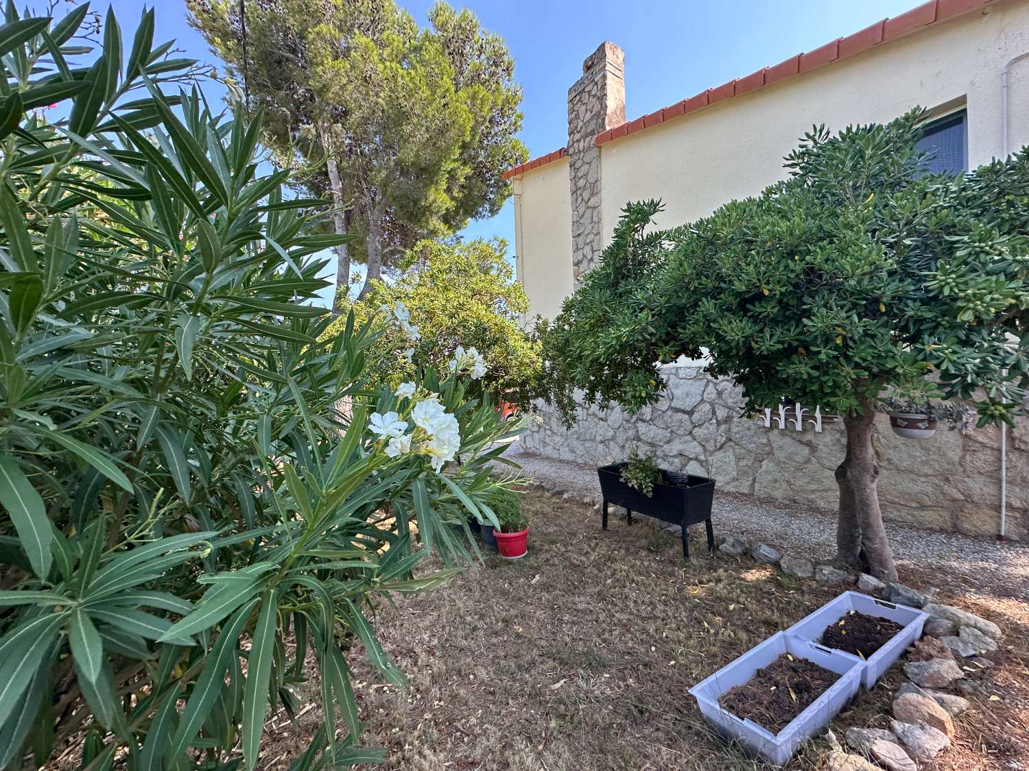 Maison indépendante sur un beau terrain arboré