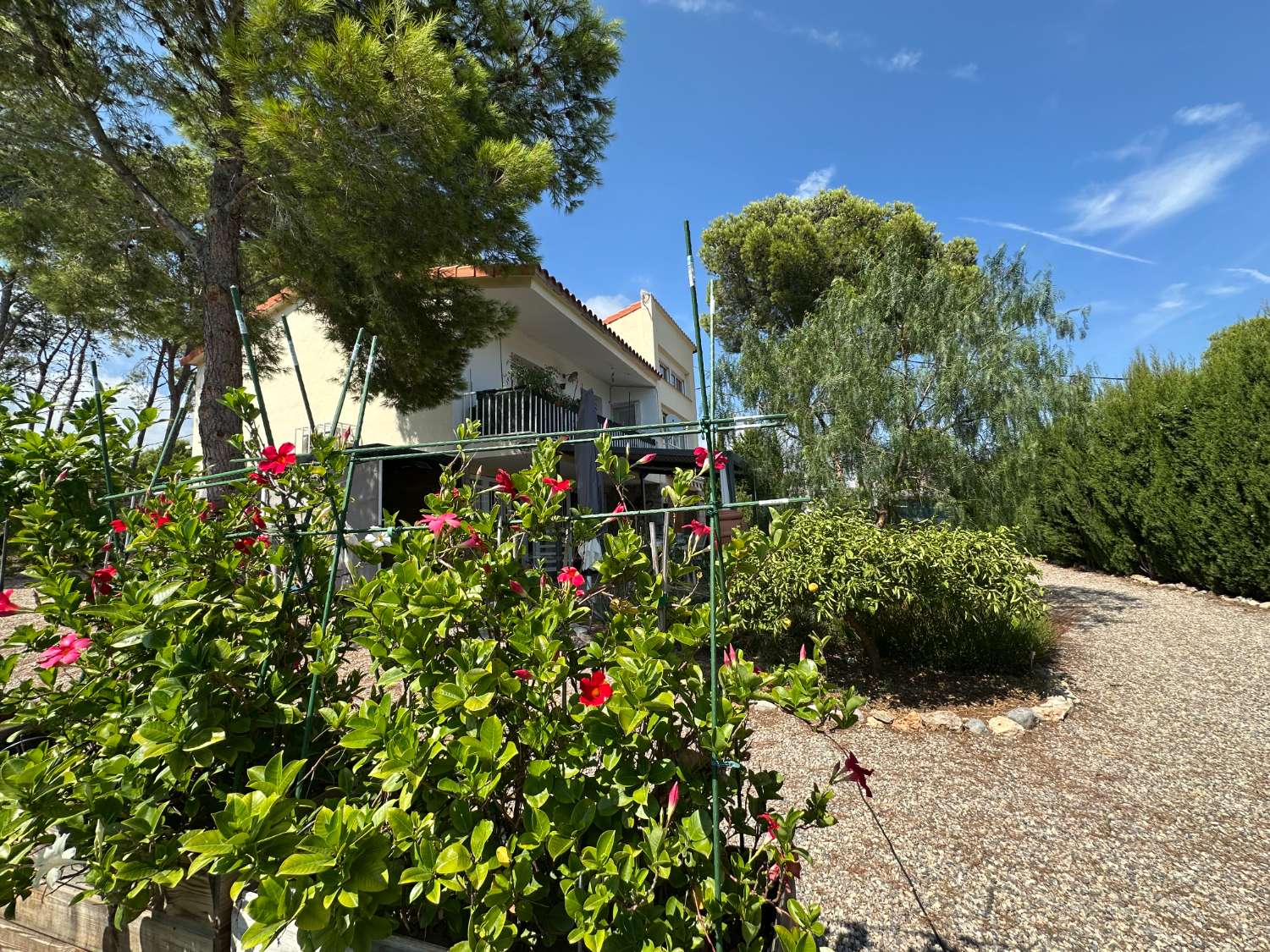 Maison indépendante sur un beau terrain arboré