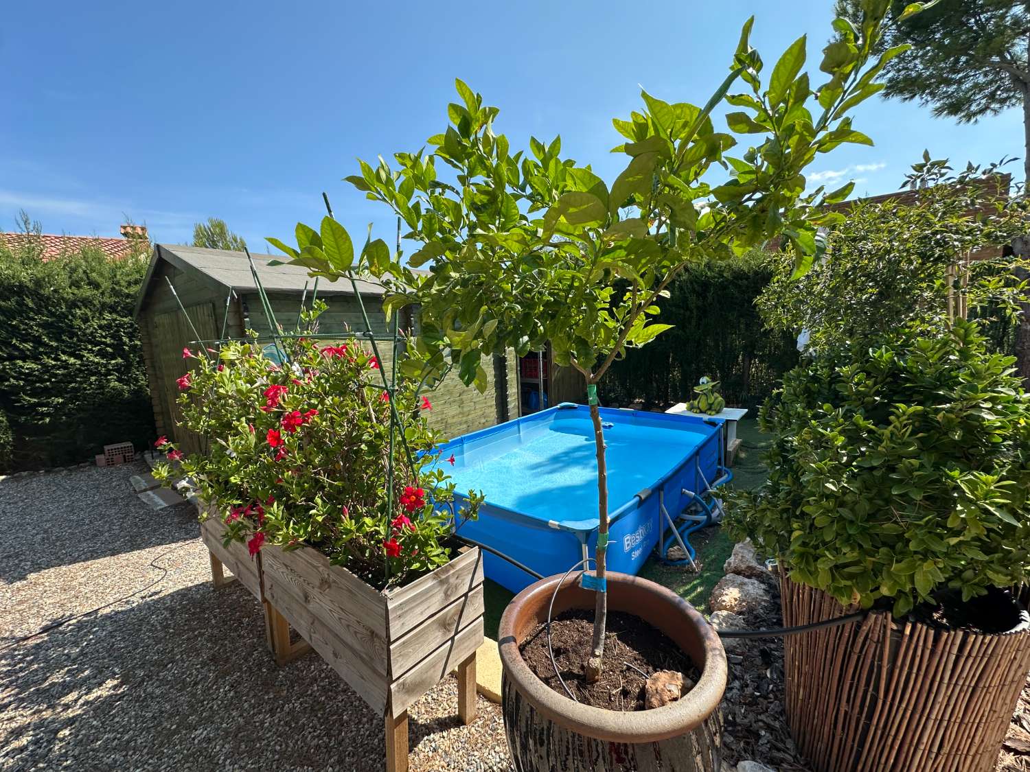 Maison indépendante sur un beau terrain arboré