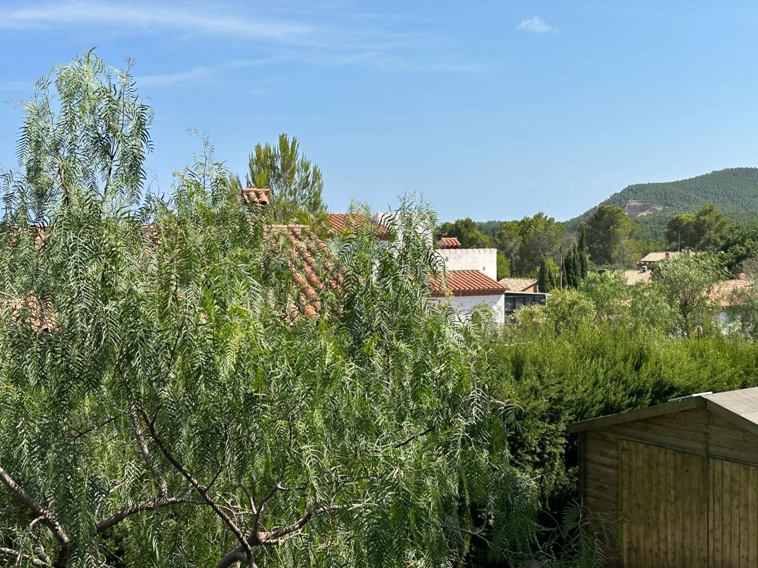 Maison indépendante sur un beau terrain arboré