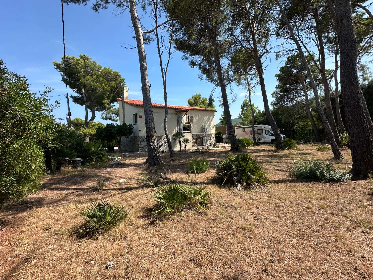 Maison indépendante sur un beau terrain arboré