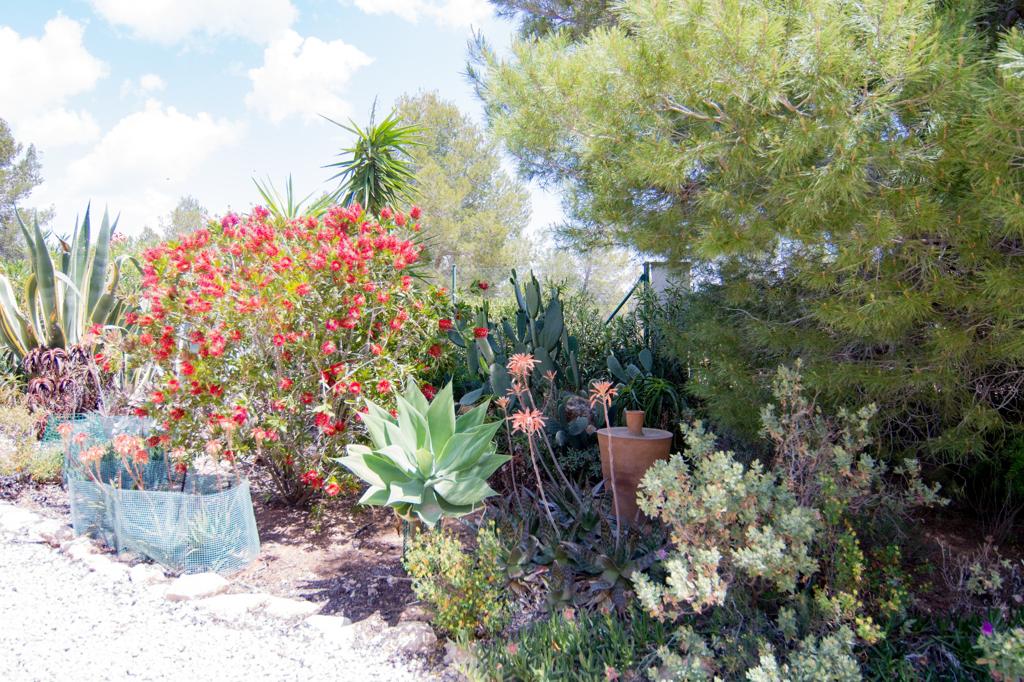 - Preciosa villa con piscina privada en plena naturaleza.