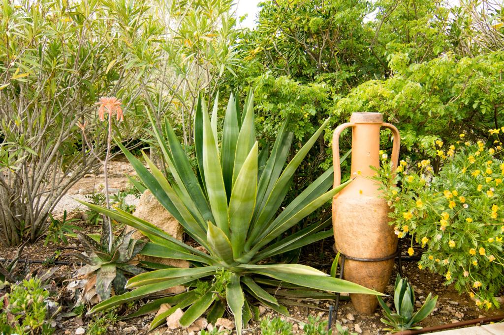 - Preciosa villa con piscina privada en plena naturaleza.