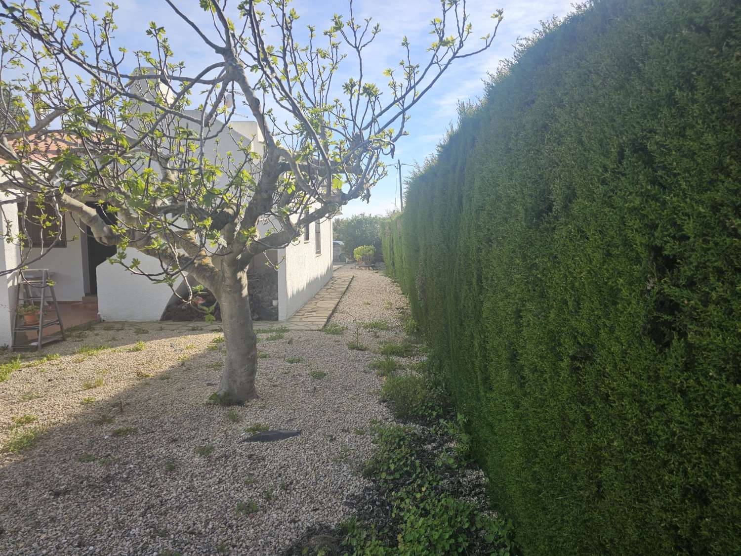 Magnifico Chalet en Sant Jordi d´Alfama