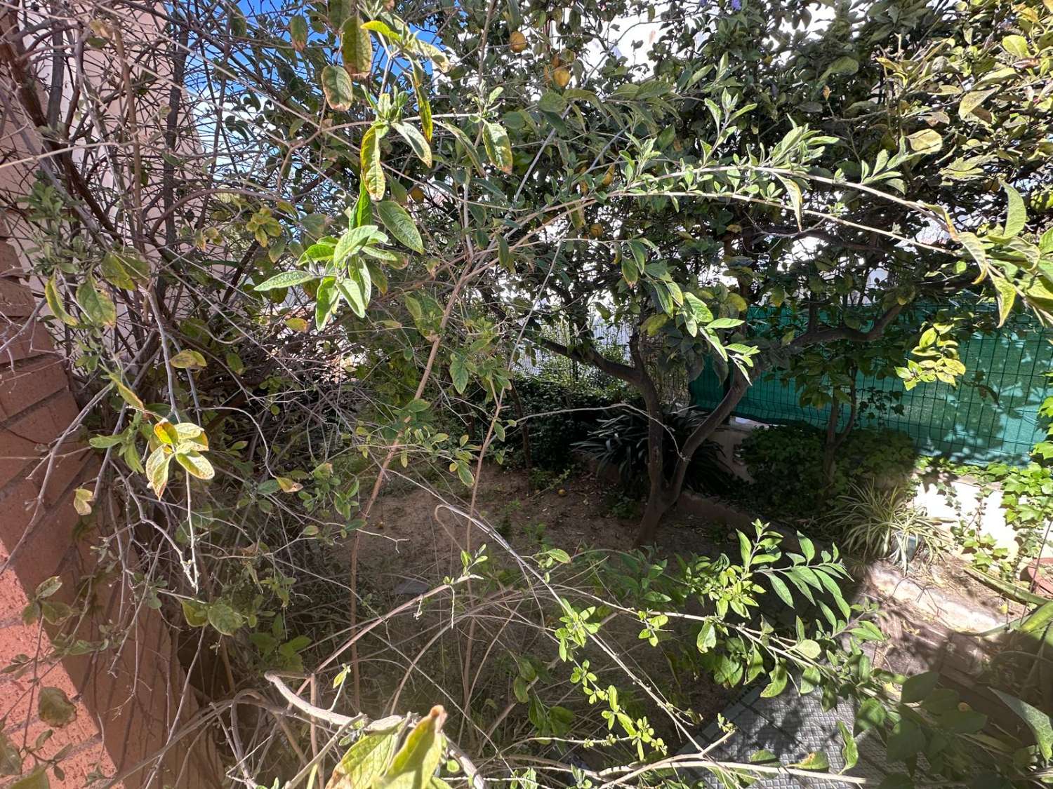 Ideal Inversores !!!!  Piso en planta baja con parking  a 150 m. de la playa