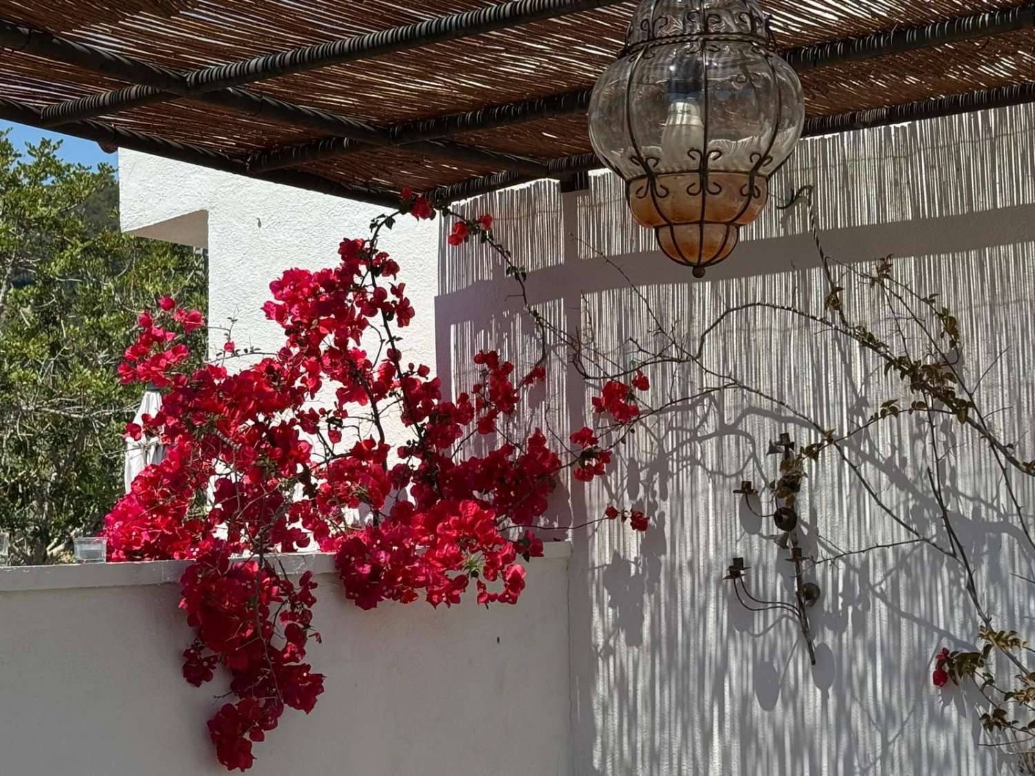 Finca con encanto, vistas al mar, licencia turística, piscina y alojamientos independientes en L'Ametlla de Mar