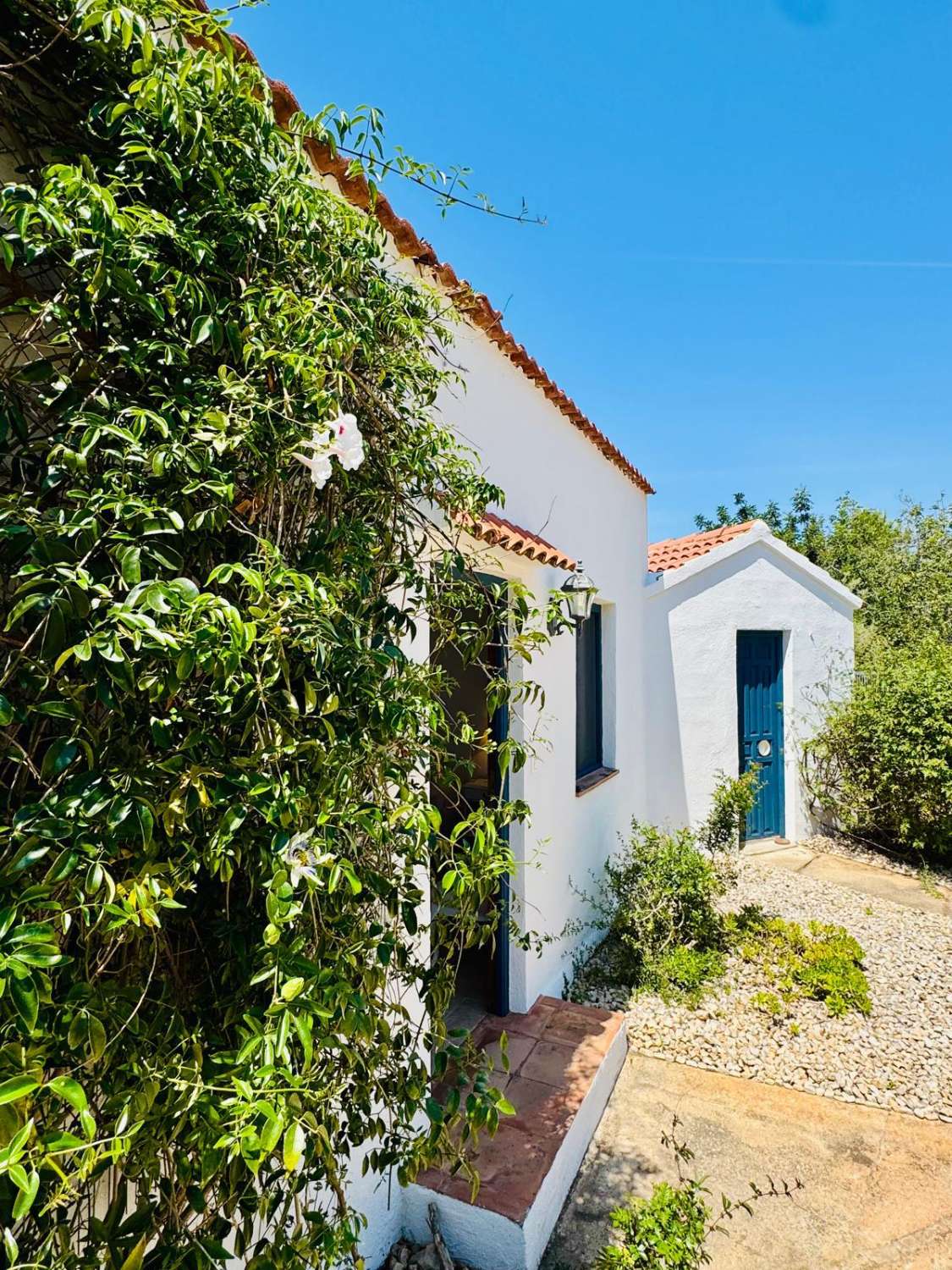Finca con encanto, vistas al mar, licencia turística, piscina y alojamientos independientes en L'Ametlla de Mar