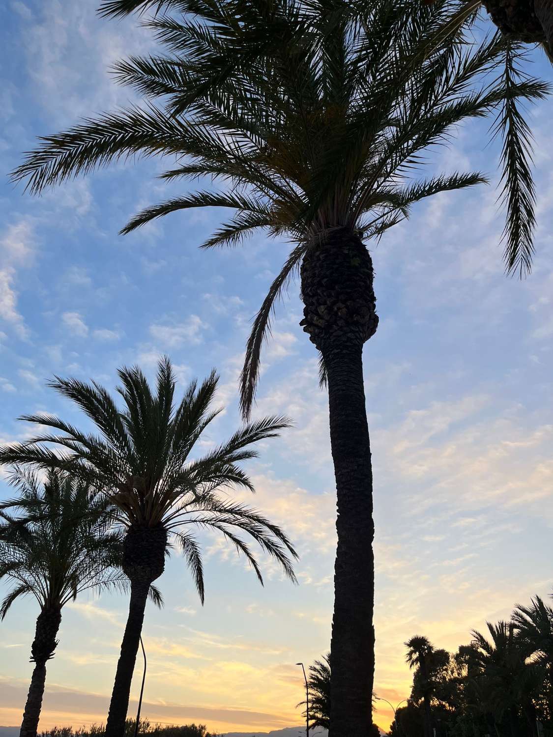 Encantadora casa amb piscina privada a Miami Platja