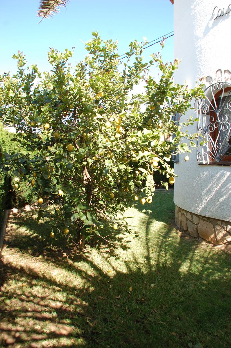 09 Christel -Típica villa con piscina privada en el centro de Miami Platja!