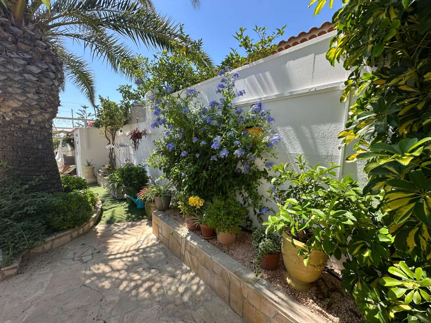 Encantadora vila amb piscina privada a Miami Platja!