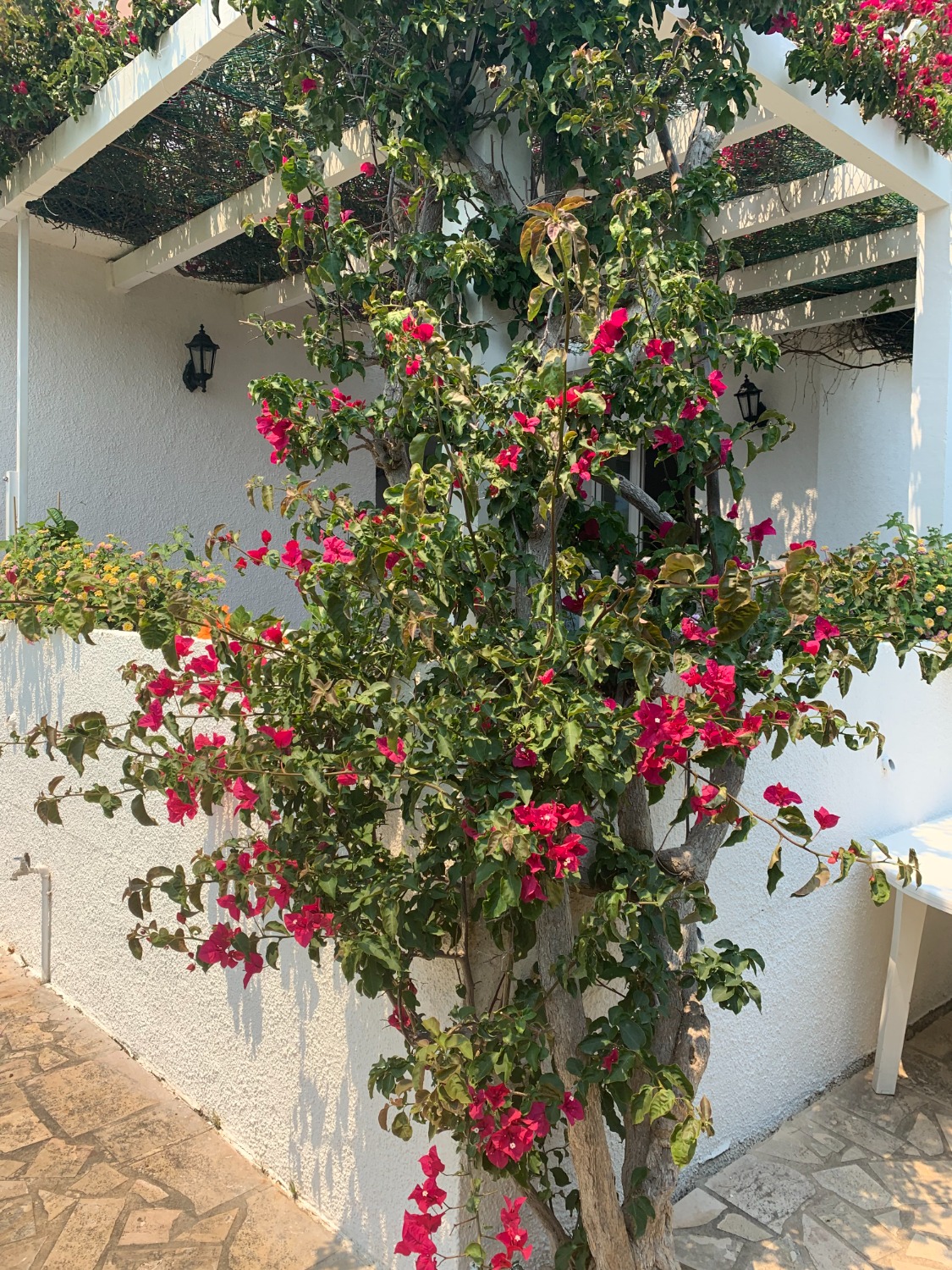 Encantadora casa amb piscina privada a pocs metres del mar!